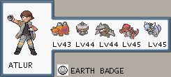 Pokemon Light Platinum Zhery League & Gym Leaders