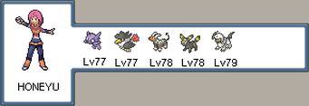 Pokemon Light Platinum Lauren League & Gym Leaders