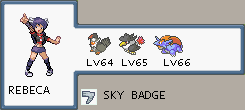 Pokemon Light Platinum Lauren League & Gym Leaders