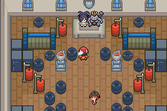 Pokemon Light Platinum Lauren League & Gym Leaders